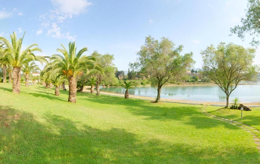 Palm Tree Corfu Apt. Danilia 외부 사진